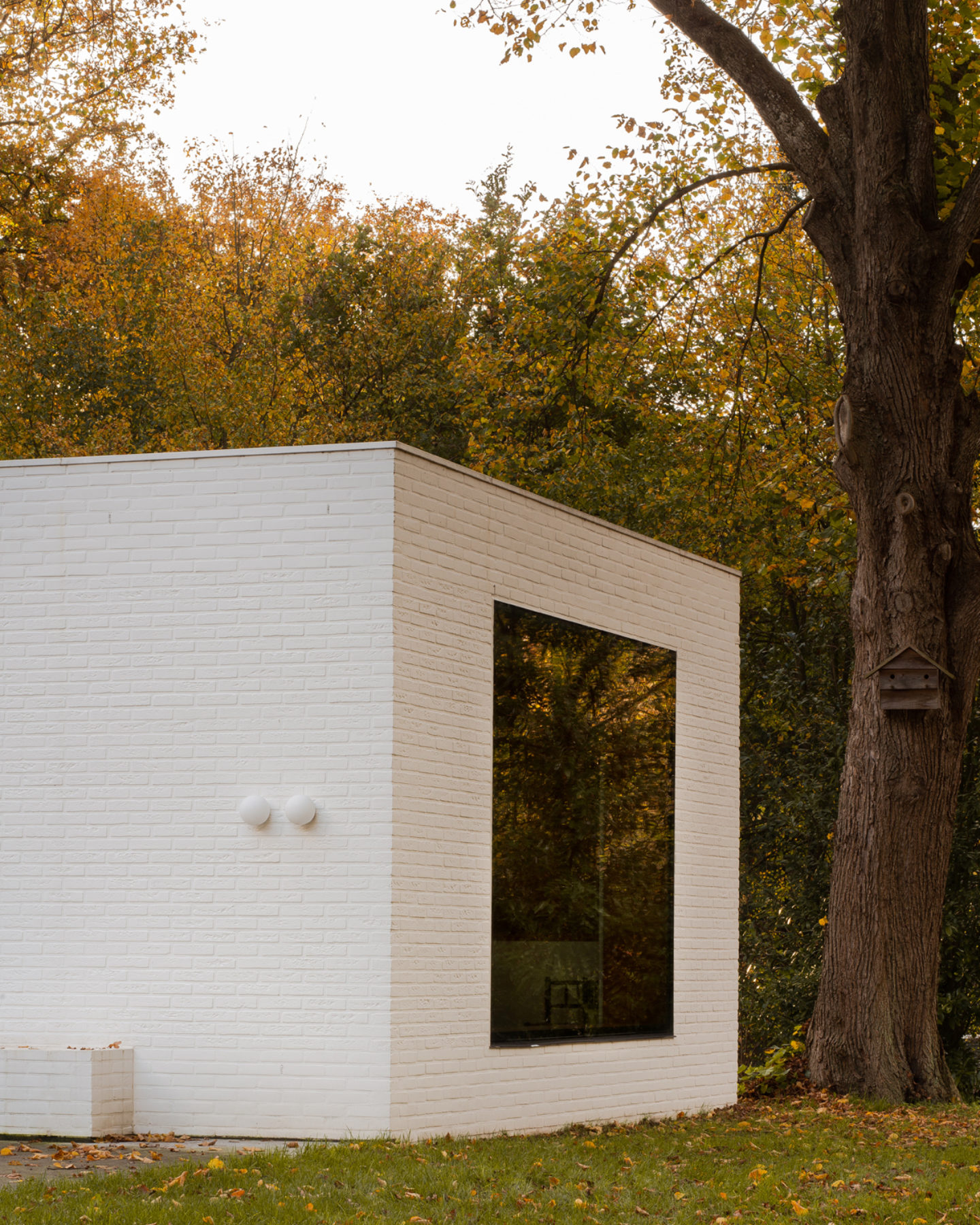 Courtyard in the Woods