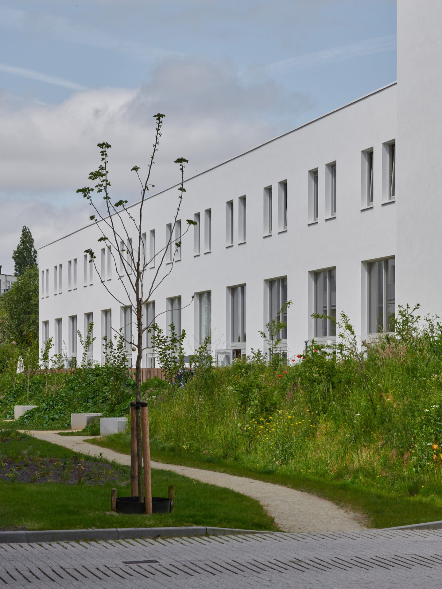 Garden with Housing